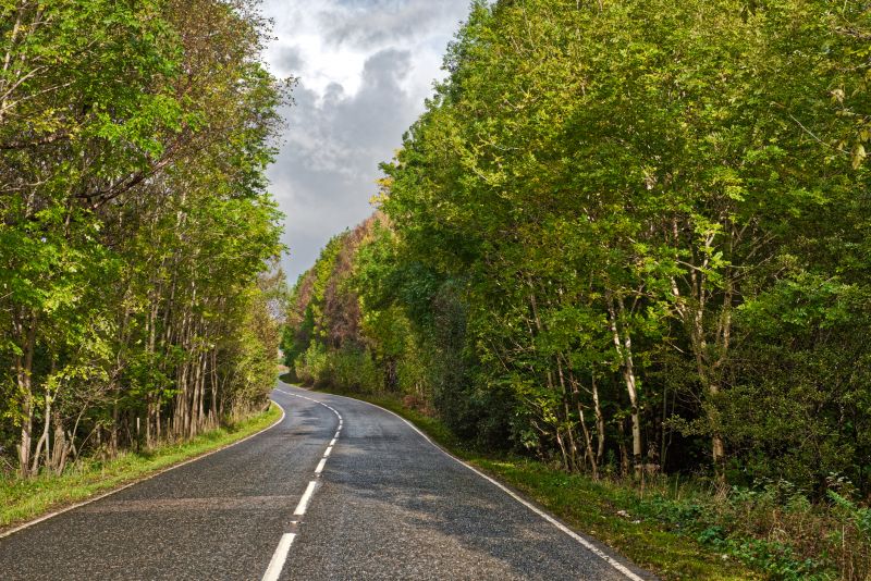 Chip Seal Maintenance